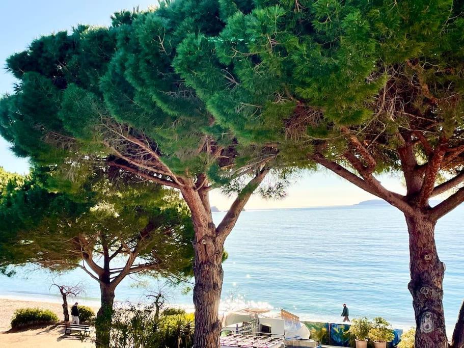 Appartement Les Pieds Dans L'Eau A Cavaliere Le Lavandou Buitenkant foto